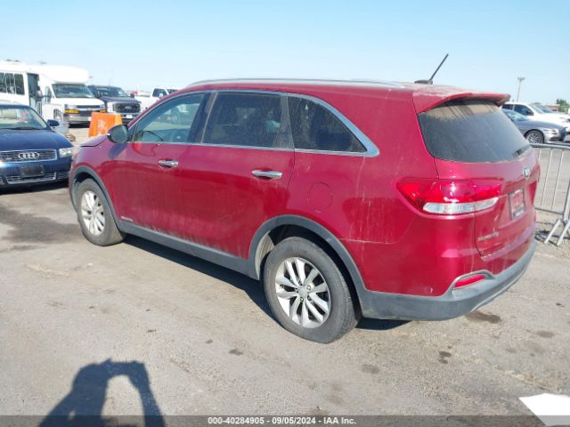 Photo 2 VIN: 5XYPGDA54GG135465 - KIA SORENTO 