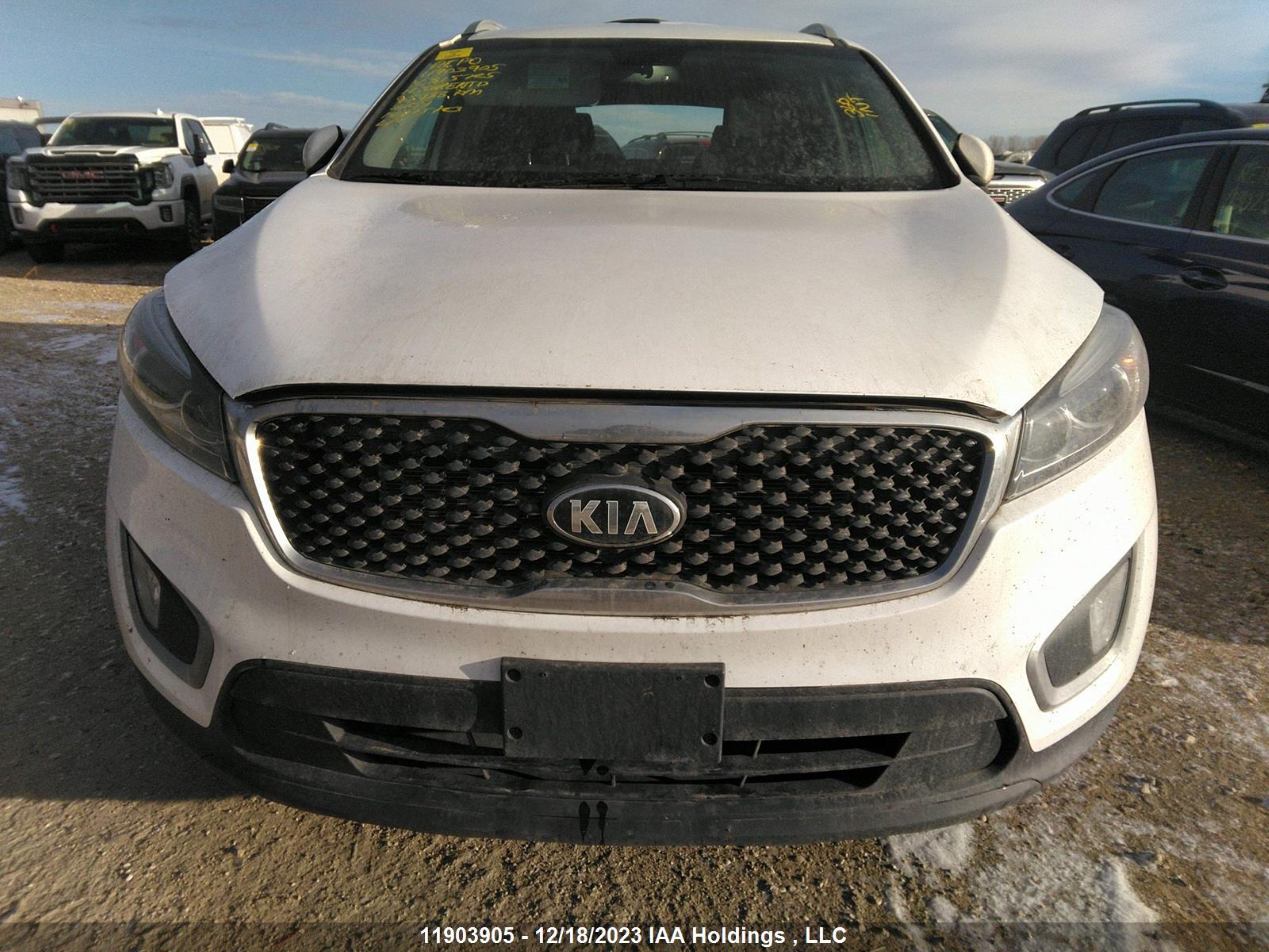 Photo 5 VIN: 5XYPGDA54HG315725 - KIA SORENTO 