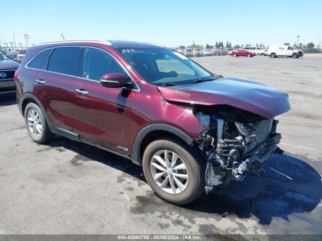 Photo 0 VIN: 5XYPGDA54HG335490 - KIA SORENTO 