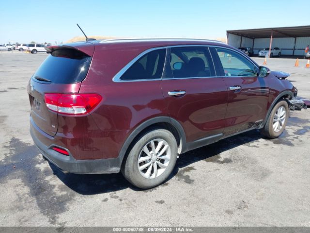 Photo 3 VIN: 5XYPGDA54HG335490 - KIA SORENTO 