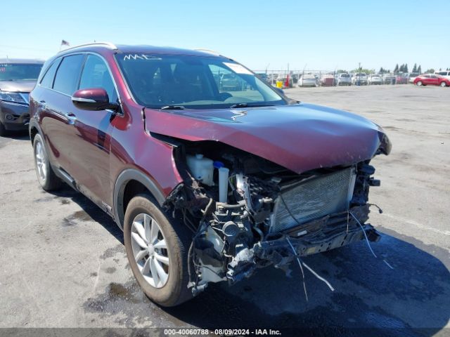 Photo 5 VIN: 5XYPGDA54HG335490 - KIA SORENTO 