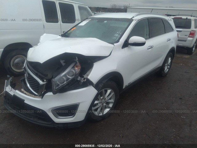 Photo 1 VIN: 5XYPGDA55HG197331 - KIA SORENTO 