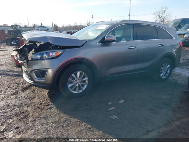 Photo 1 VIN: 5XYPGDA56HG209146 - KIA SORENTO 