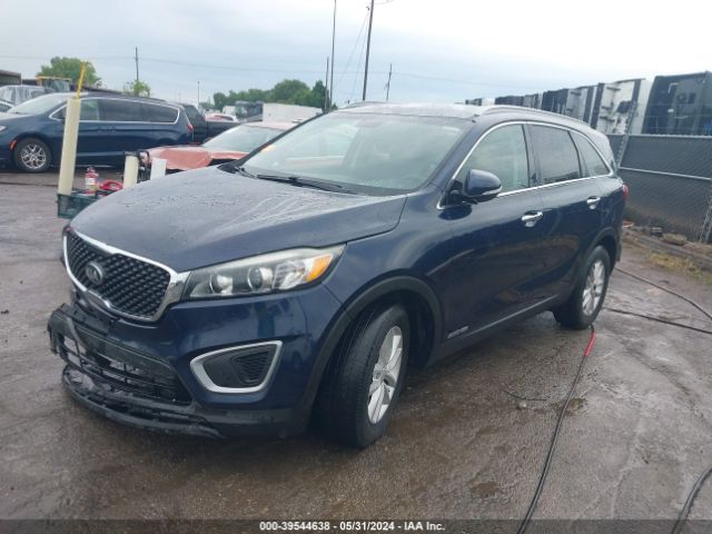 Photo 1 VIN: 5XYPGDA56JG391162 - KIA SORENTO 