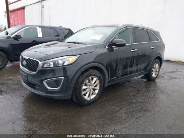 Photo 1 VIN: 5XYPGDA57GG093650 - KIA SORENTO 