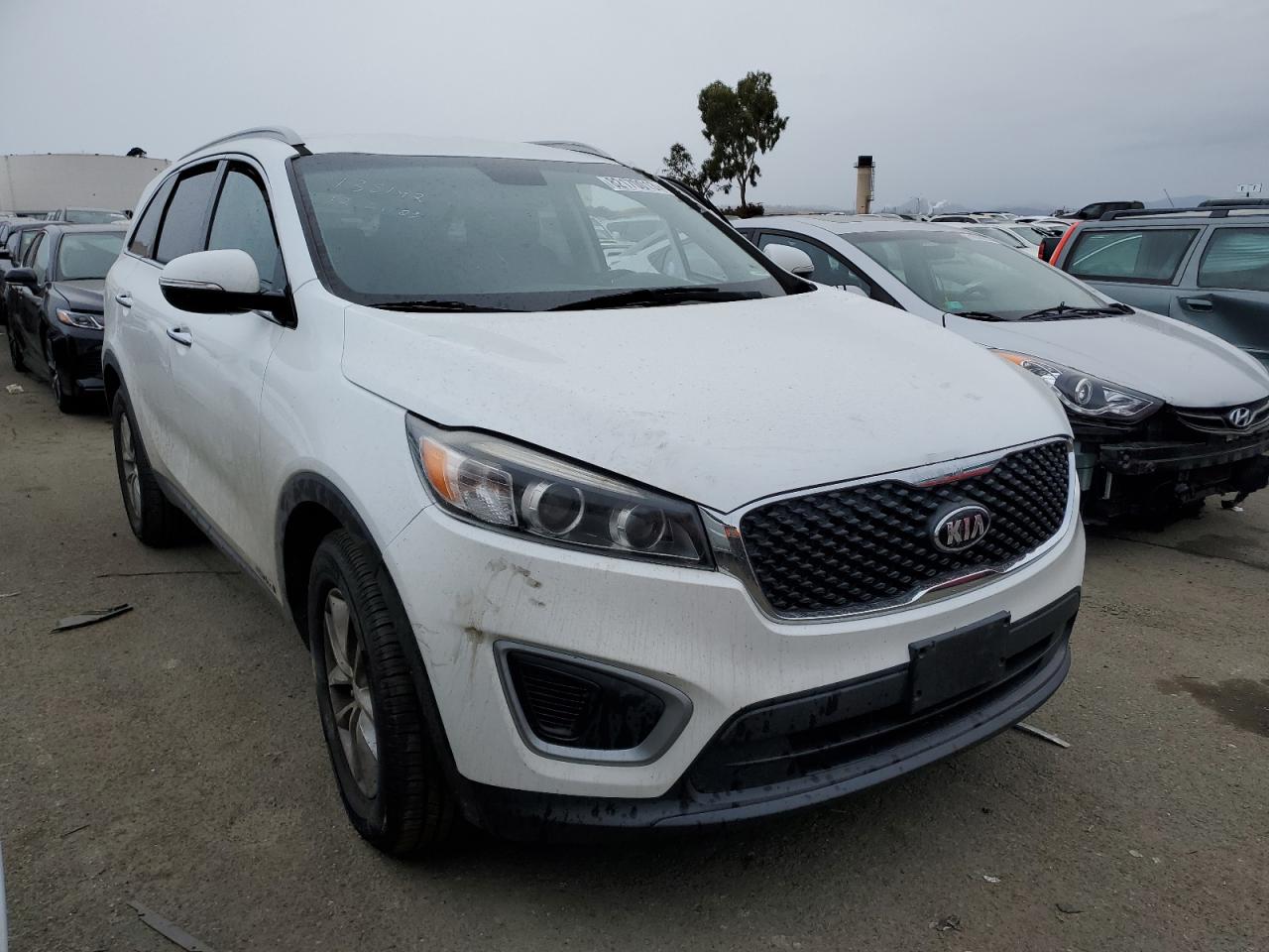 Photo 3 VIN: 5XYPGDA57GG135248 - KIA SORENTO 