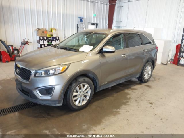 Photo 1 VIN: 5XYPGDA57HG195449 - KIA SORENTO 