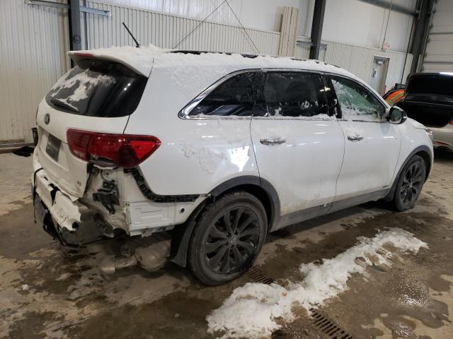 Photo 2 VIN: 5XYPGDA57LG691635 - KIA SORENTO 