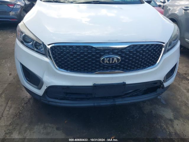 Photo 5 VIN: 5XYPGDA5XHG188365 - KIA SORENTO 