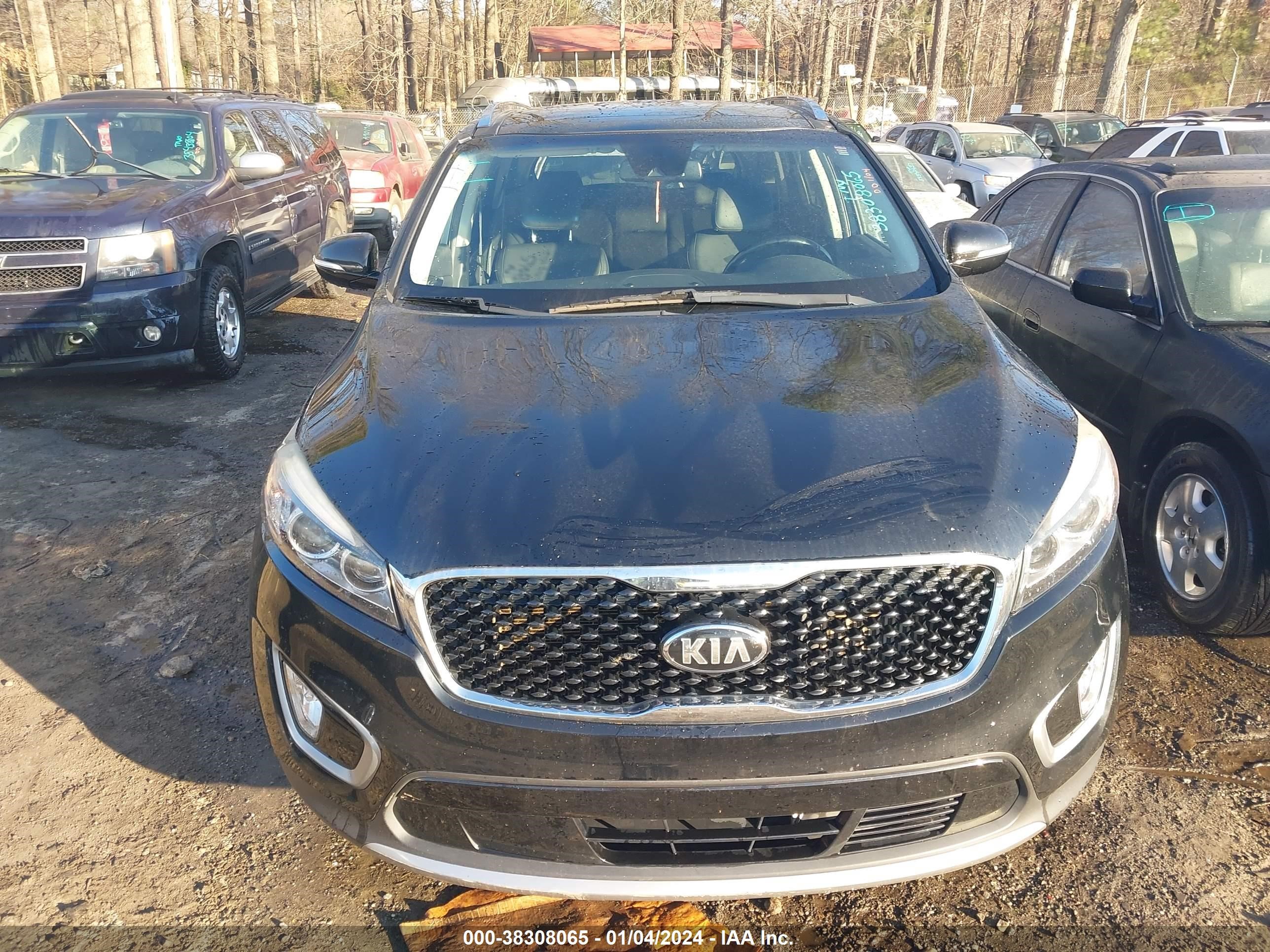 Photo 12 VIN: 5XYPH4A11HG218511 - KIA SORENTO 