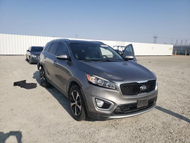 Photo 0 VIN: 5XYPH4A12GG114527 - KIA SORENTO EX 