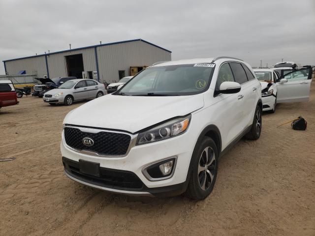 Photo 1 VIN: 5XYPH4A1XGG011341 - KIA SORENTO EX 