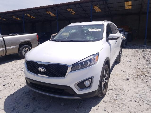 Photo 1 VIN: 5XYPH4A52HG205964 - KIA SORENTO 