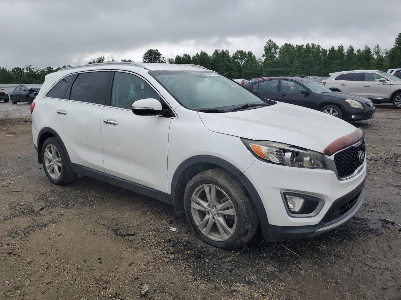 Photo 3 VIN: 5XYPH4A55GG050874 - KIA SORENTO 