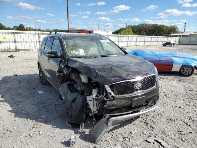 Photo 0 VIN: 5XYPH4A55HG313026 - KIA SORENTO EX 