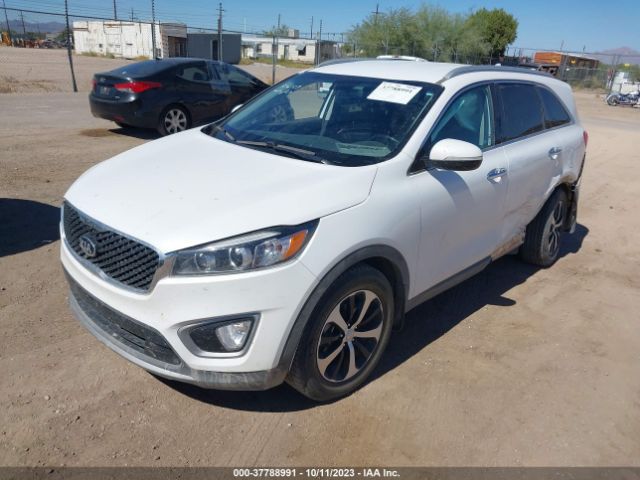 Photo 1 VIN: 5XYPH4A56GG147968 - KIA SORENTO 