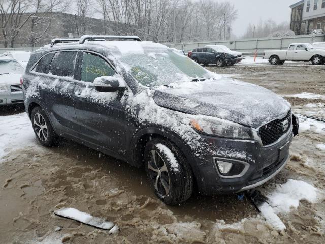 Photo 3 VIN: 5XYPHDA10GG124019 - KIA SORENTO EX 