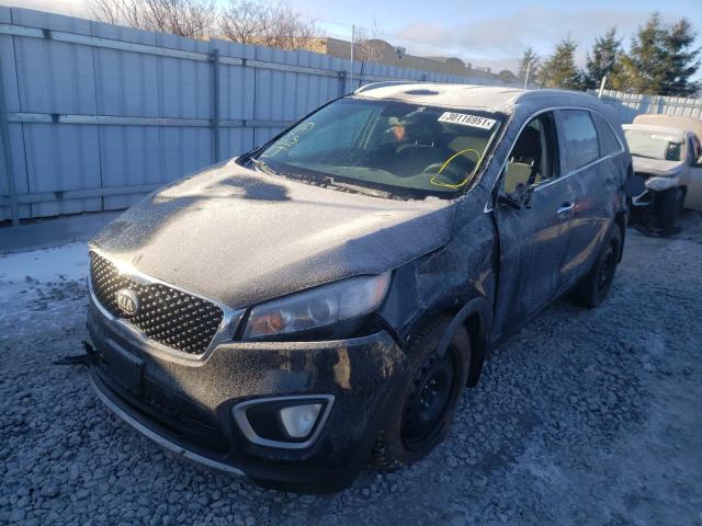 Photo 1 VIN: 5XYPHDA14GG101939 - KIA SORENTO EX 