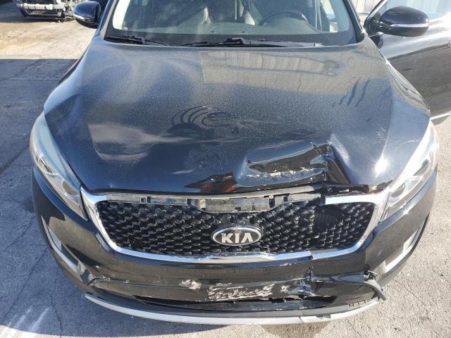 Photo 11 VIN: 5XYPHDA19GG012531 - KIA SORENTO EX 