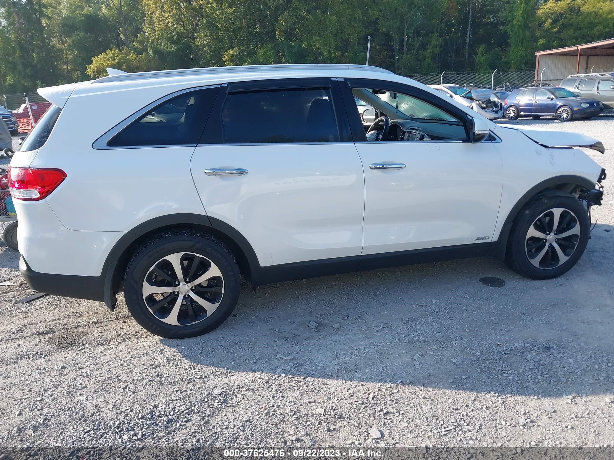 Photo 13 VIN: 5XYPHDA1XGG137683 - KIA SORENTO 