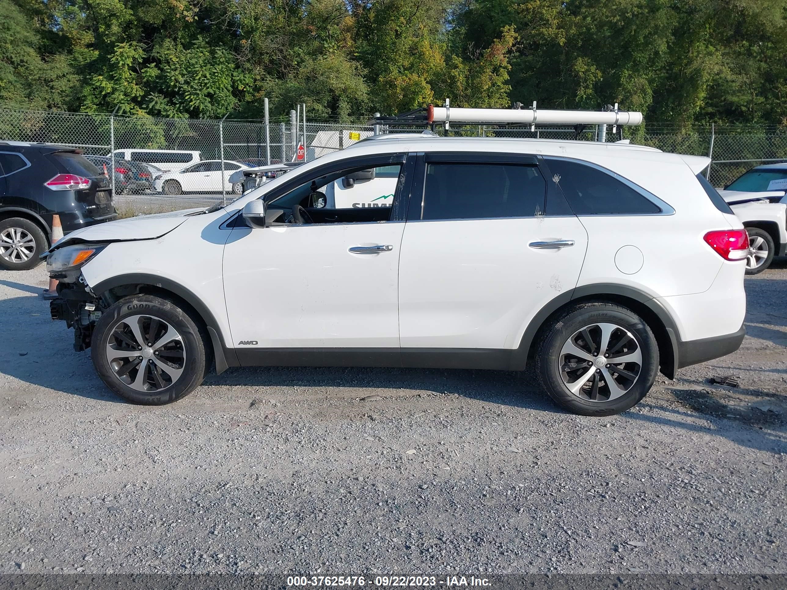 Photo 14 VIN: 5XYPHDA1XGG137683 - KIA SORENTO 