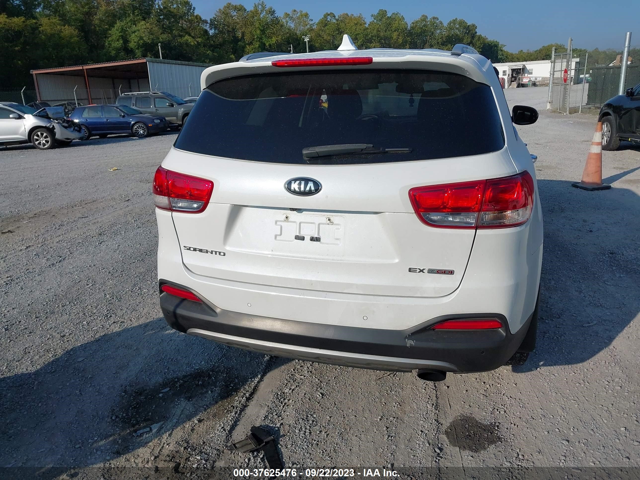 Photo 16 VIN: 5XYPHDA1XGG137683 - KIA SORENTO 