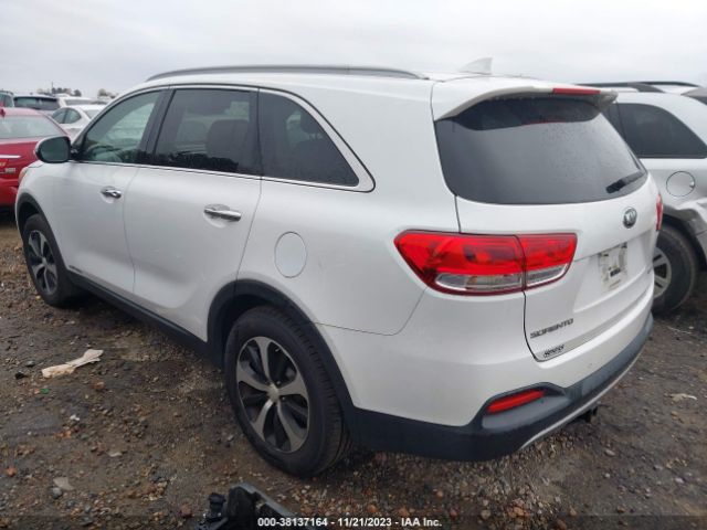 Photo 2 VIN: 5XYPHDA50GG114481 - KIA SORENTO 