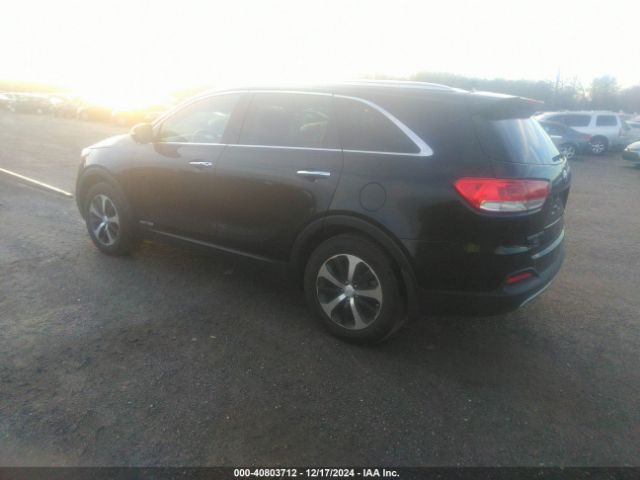 Photo 2 VIN: 5XYPHDA53HG234003 - KIA SORENTO 