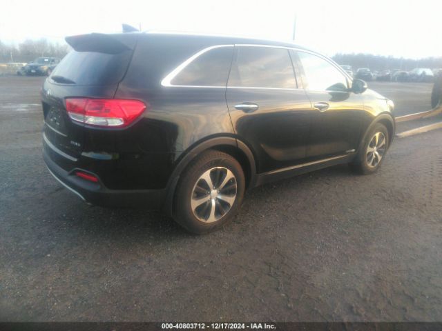 Photo 3 VIN: 5XYPHDA53HG234003 - KIA SORENTO 