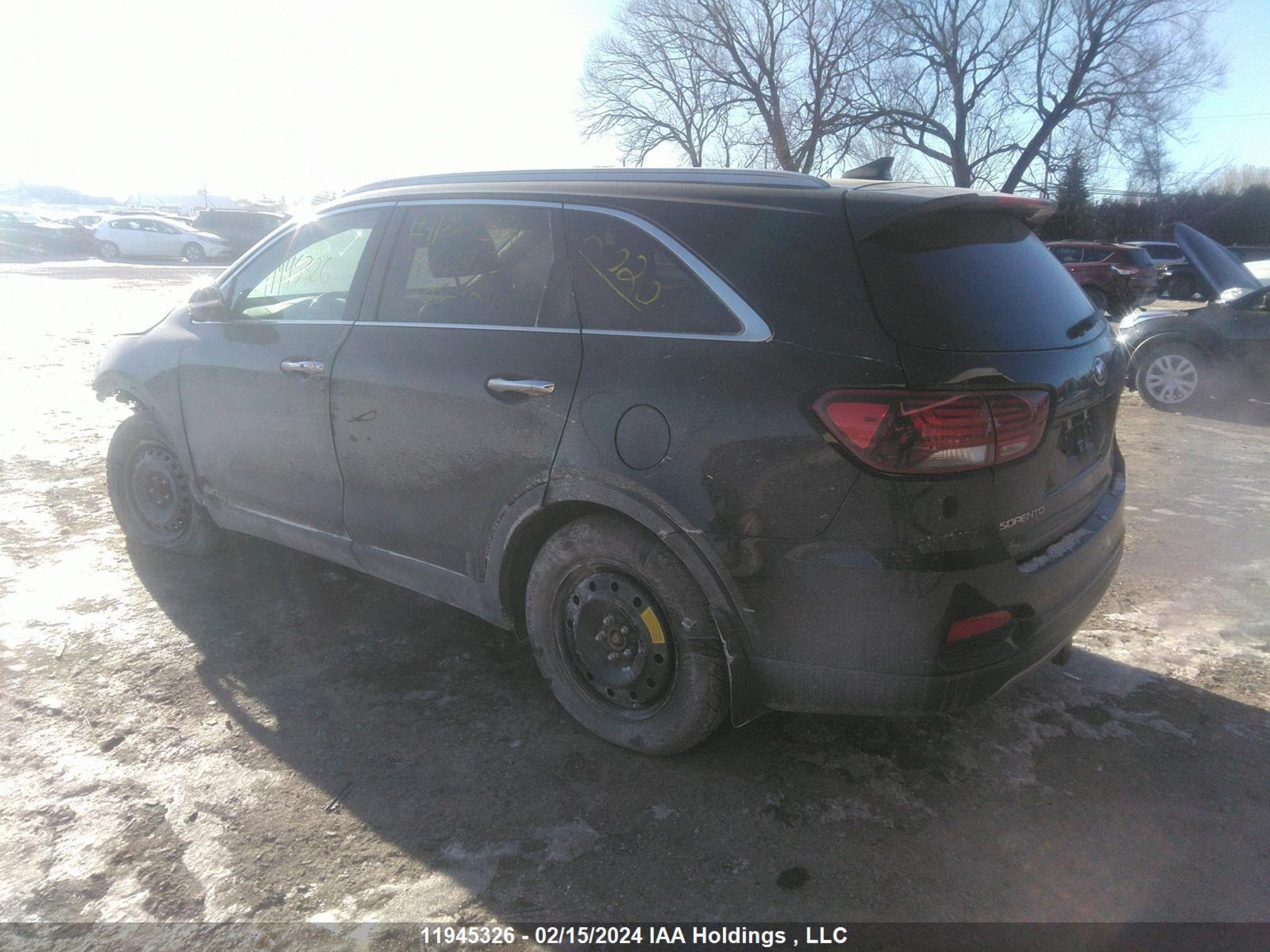 Photo 2 VIN: 5XYPHDA53LG629856 - KIA SORENTO 