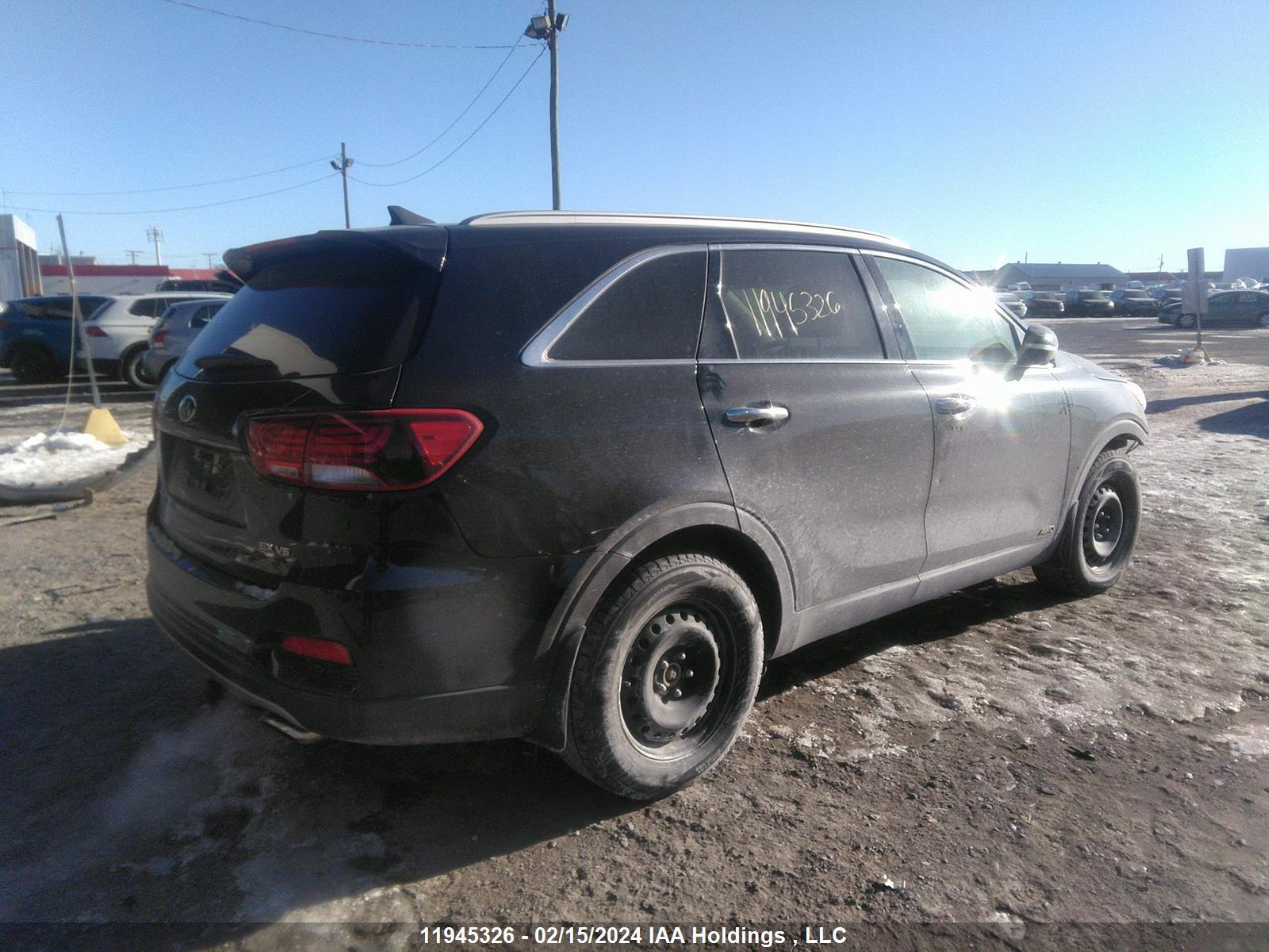 Photo 3 VIN: 5XYPHDA53LG629856 - KIA SORENTO 