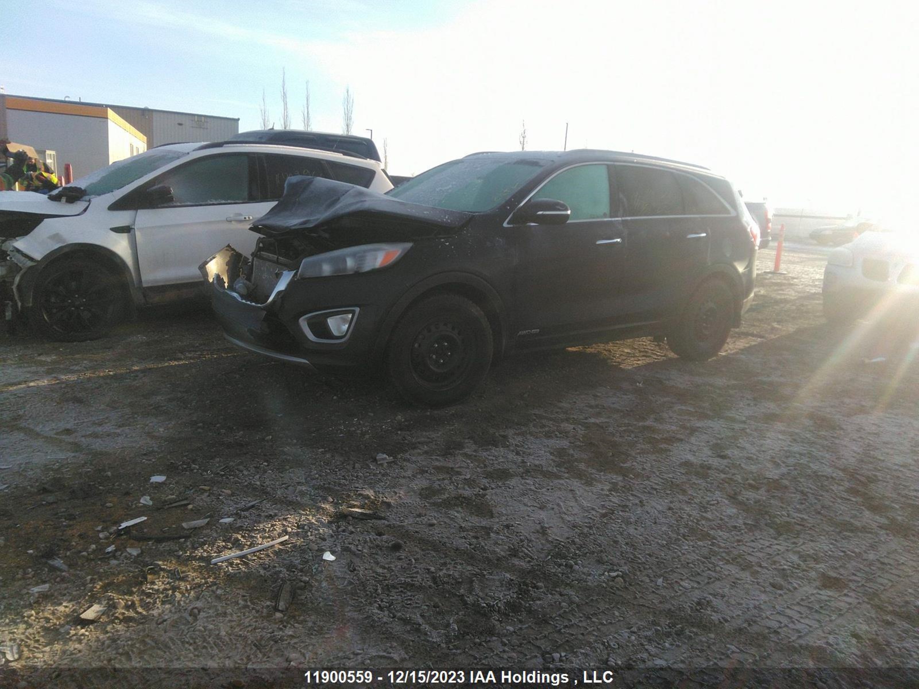 Photo 1 VIN: 5XYPHDA55HG210074 - KIA SORENTO 