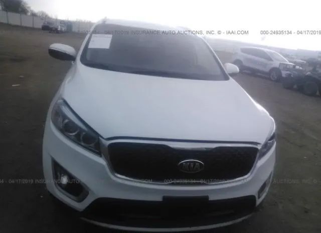 Photo 5 VIN: 5XYPHDA55JG429851 - KIA SORENTO 