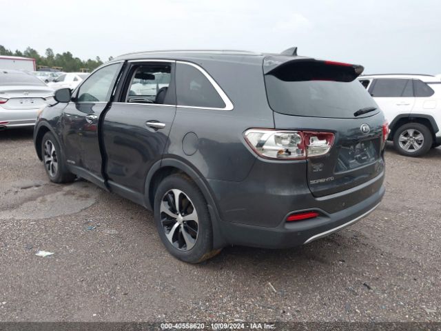 Photo 2 VIN: 5XYPHDA56GG156119 - KIA SORENTO 