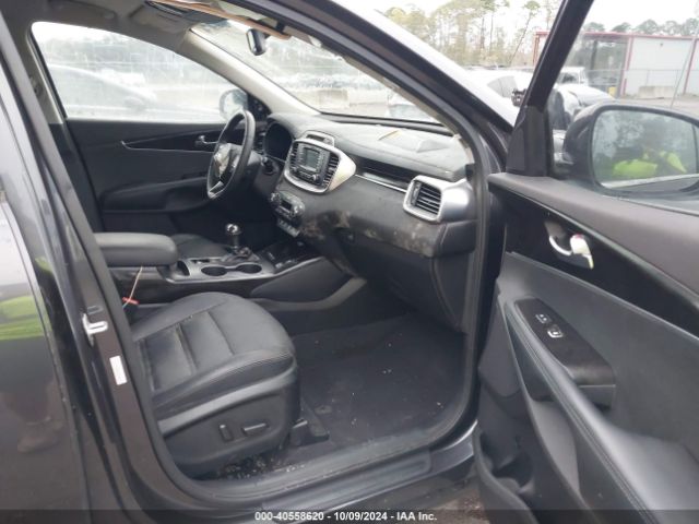 Photo 4 VIN: 5XYPHDA56GG156119 - KIA SORENTO 