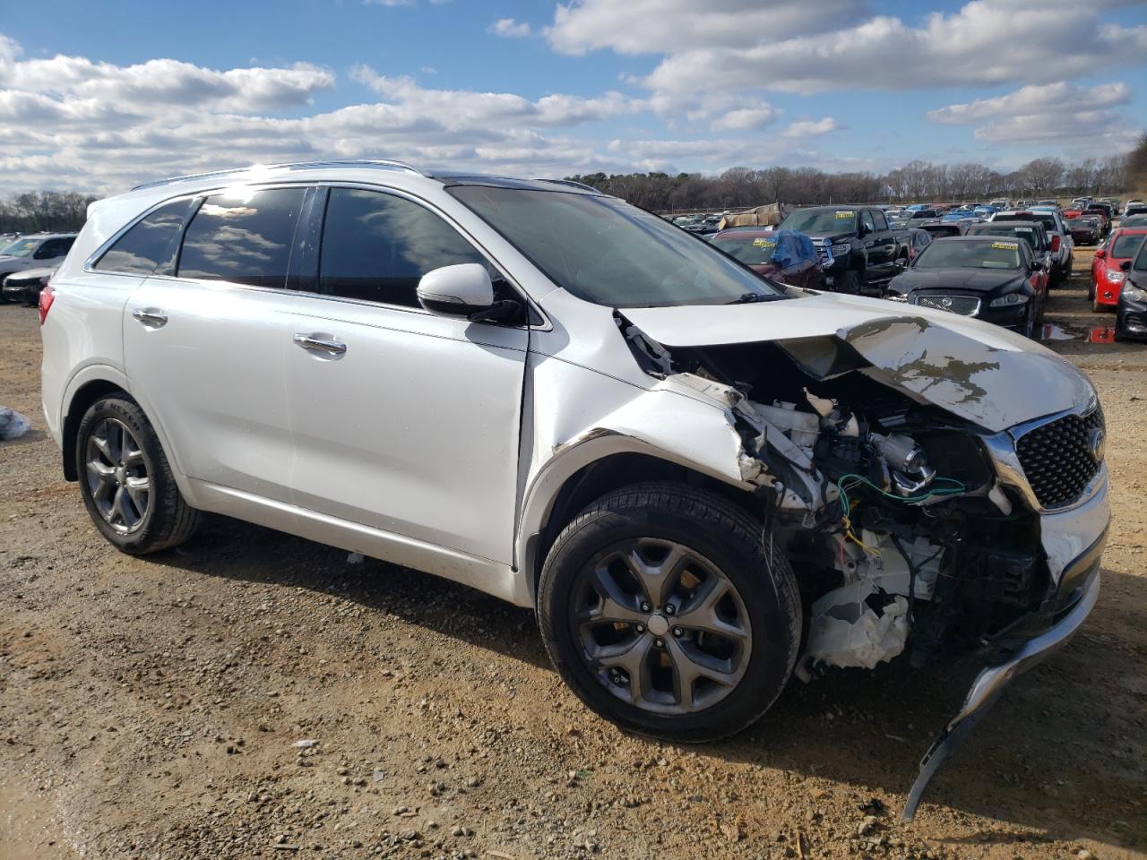 Photo 3 VIN: 5XYPK4A14GG007920 - KIA SORENTO 