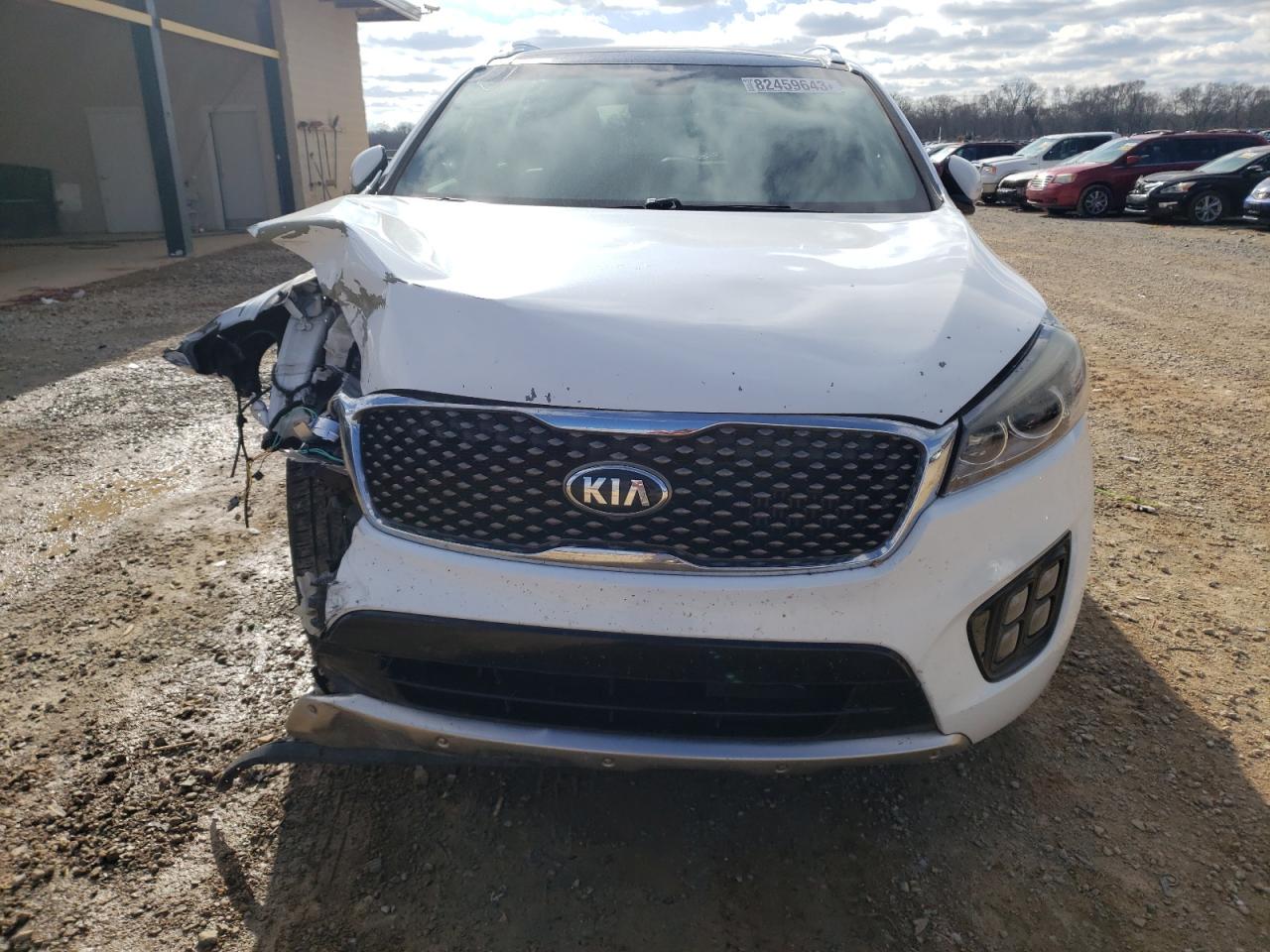 Photo 4 VIN: 5XYPK4A14GG007920 - KIA SORENTO 