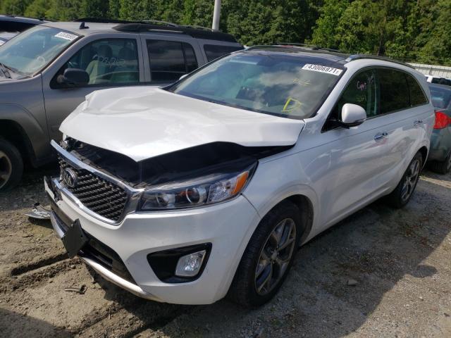 Photo 1 VIN: 5XYPK4A57GG101891 - KIA SORENTO SX 