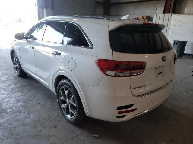 Photo 2 VIN: 5XYPK4A57GG101891 - KIA SORENTO SX 