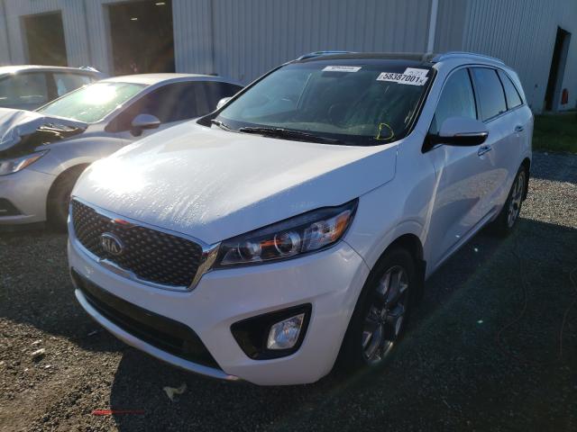 Photo 1 VIN: 5XYPK4A5XHG239863 - KIA SORENTO SX 