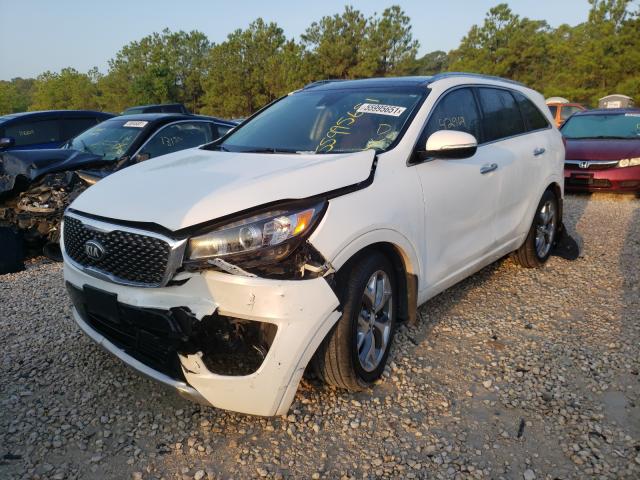 Photo 1 VIN: 5XYPK4A5XJG377439 - KIA SORENTO SX 