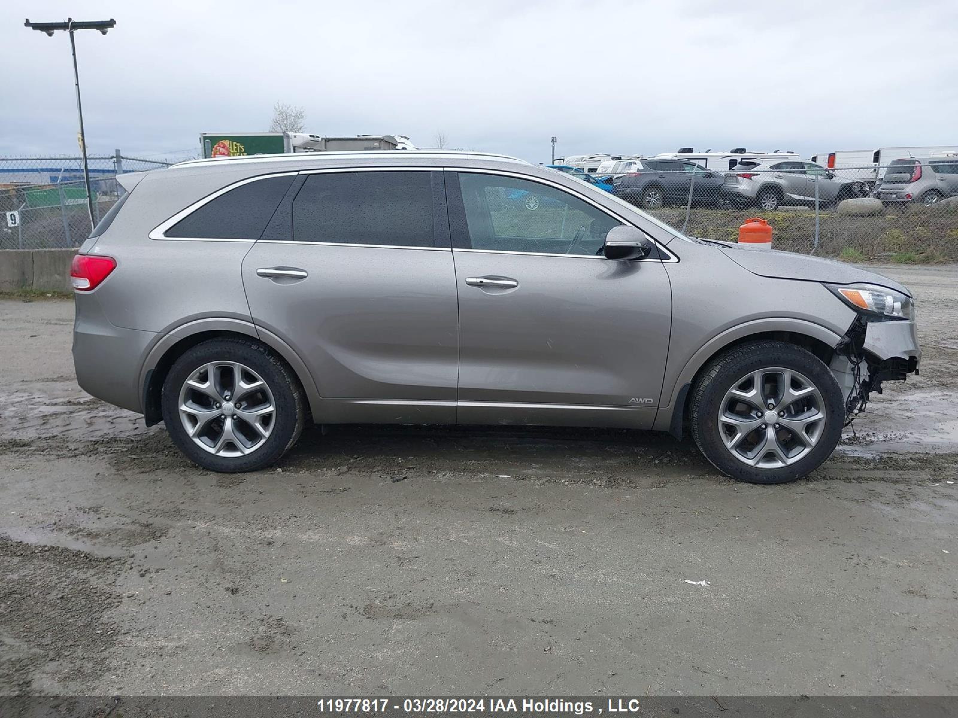 Photo 12 VIN: 5XYPKDA12GG161428 - KIA SORENTO 