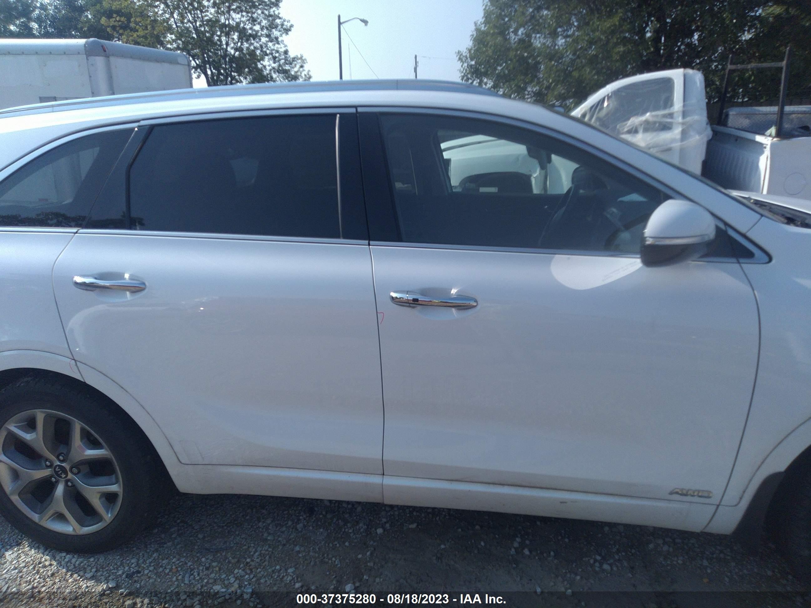 Photo 12 VIN: 5XYPKDA51KG528377 - KIA SORENTO 