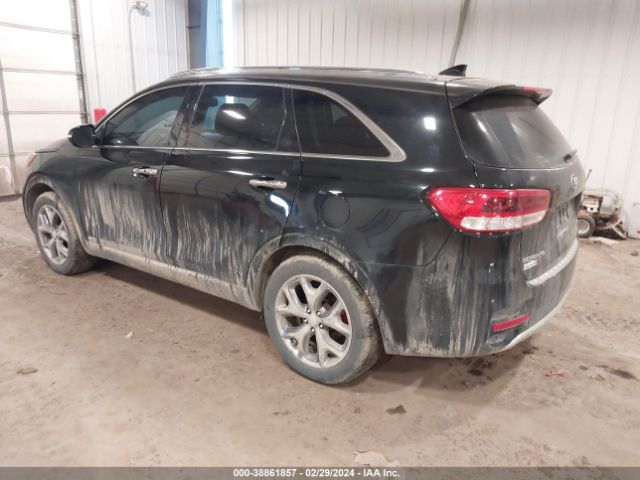 Photo 2 VIN: 5XYPKDA53GG164082 - KIA SORENTO 