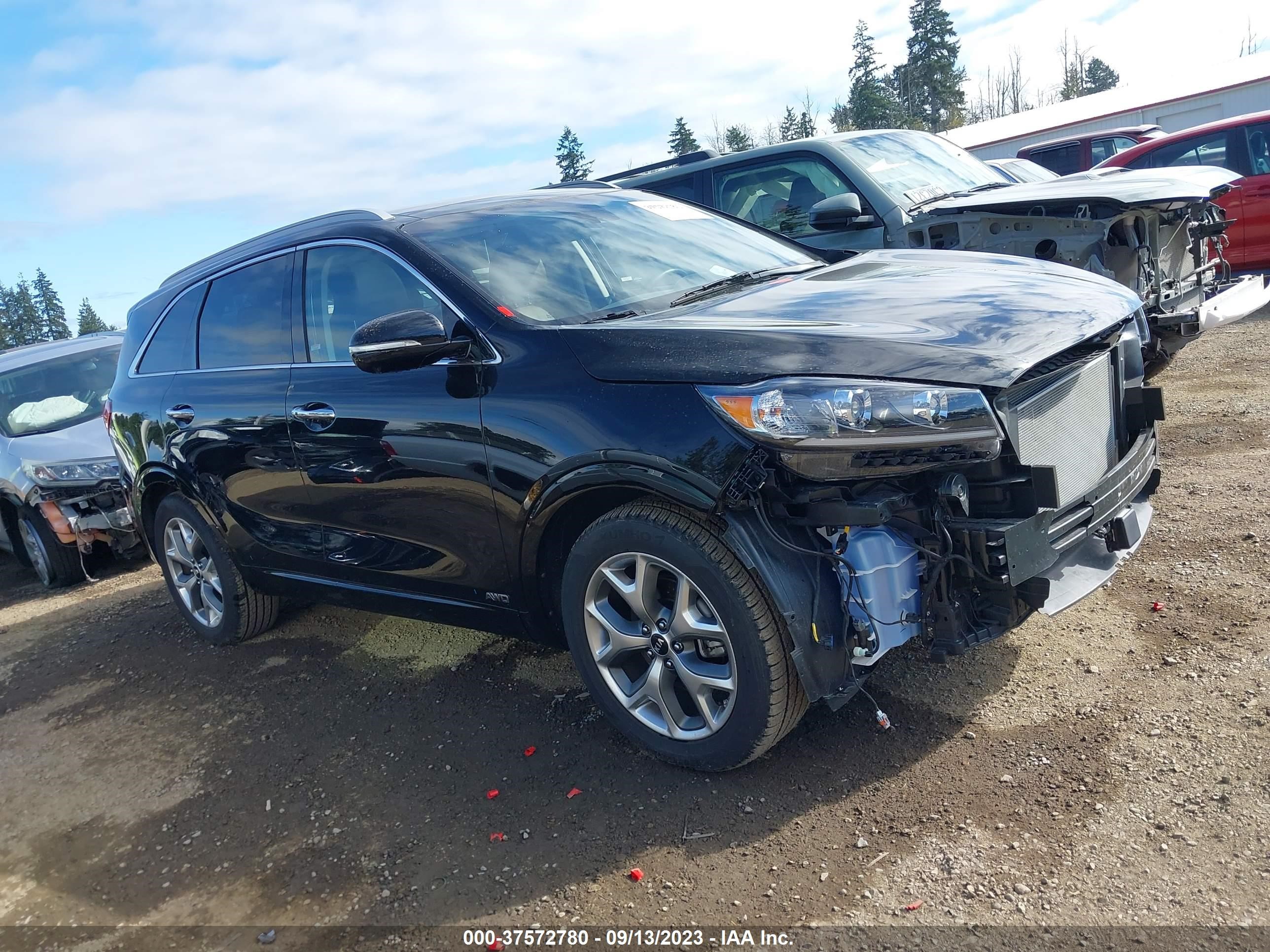 Photo 13 VIN: 5XYPKDA56LG694329 - KIA SORENTO 