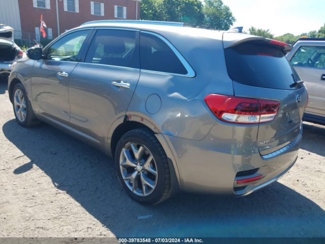 Photo 2 VIN: 5XYPKDA57HG242672 - KIA SORENTO 