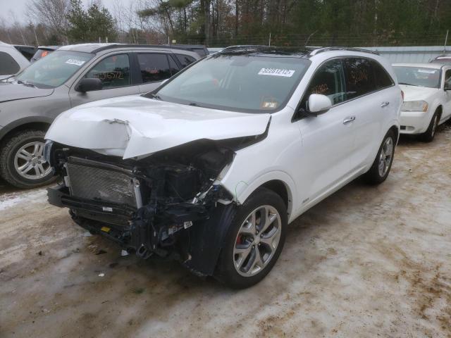 Photo 1 VIN: 5XYPKDA57HG254479 - KIA SORENTO SX 