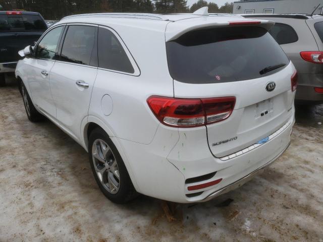 Photo 2 VIN: 5XYPKDA57HG254479 - KIA SORENTO SX 