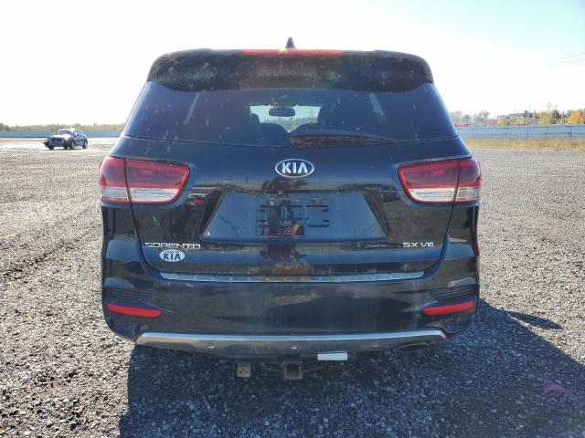 Photo 5 VIN: 5XYPKDA5XGG142094 - KIA SORENTO SX 