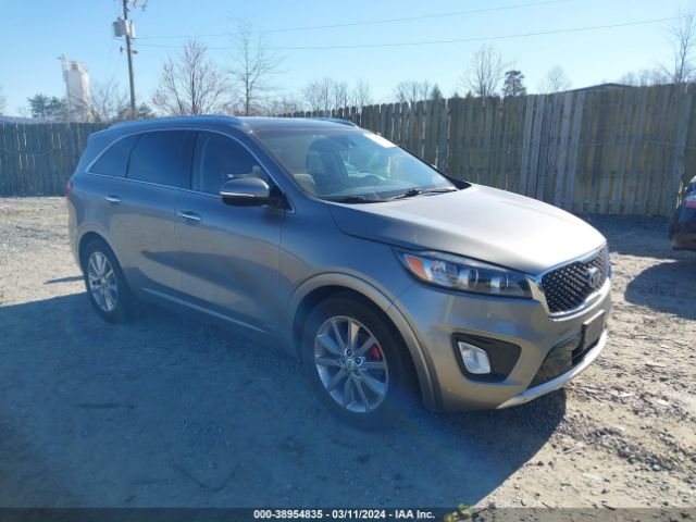 Photo 0 VIN: 5XYPKDA5XHG203347 - KIA SORENTO 